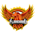 Logo Flame Hard
