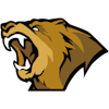 Logo Lynn Vision